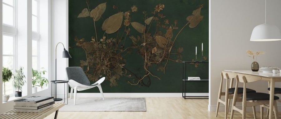 PHOTOWALL / Plantasia (e323118)