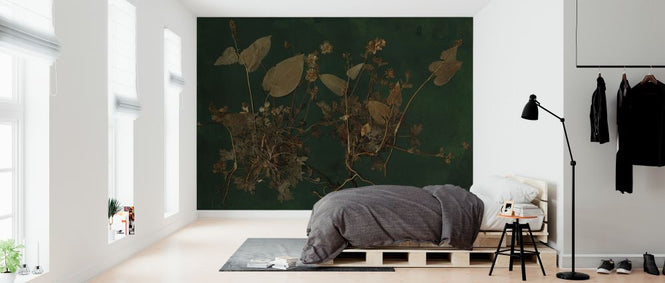 PHOTOWALL / Plantasia (e323118)
