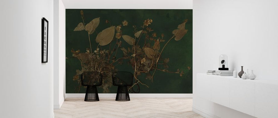 PHOTOWALL / Plantasia (e323118)
