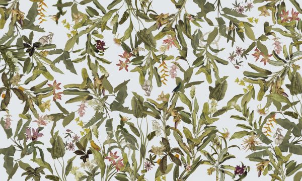 PHOTOWALL / Botanical Tropics - Bright (e322804)