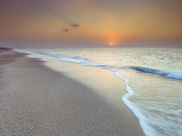 PHOTOWALL / Sunset Shoreline (e321076)