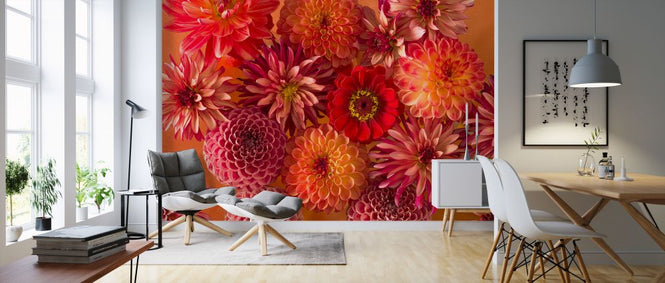 PHOTOWALL / Dahlias (e321082)