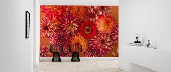 PHOTOWALL / Dahlias (e321082)