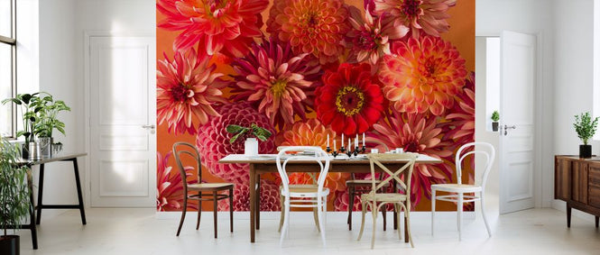 PHOTOWALL / Dahlias (e321082)