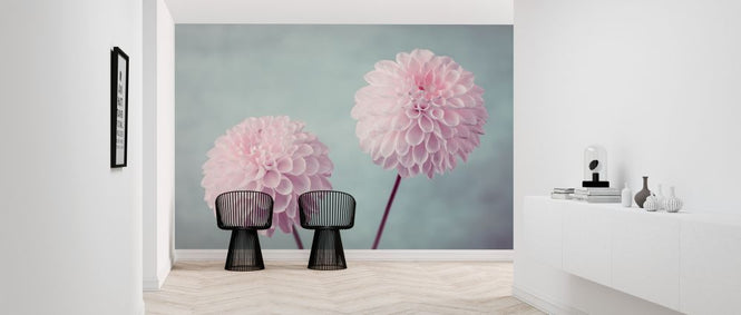 PHOTOWALL / Pink Dahlias (e321084)