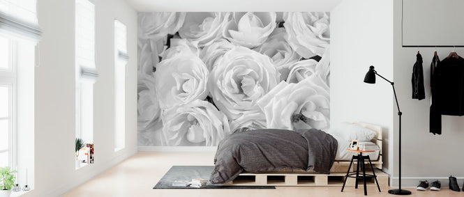 PHOTOWALL / White Roses (e321094)
