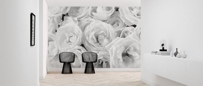 PHOTOWALL / White Roses (e321094)