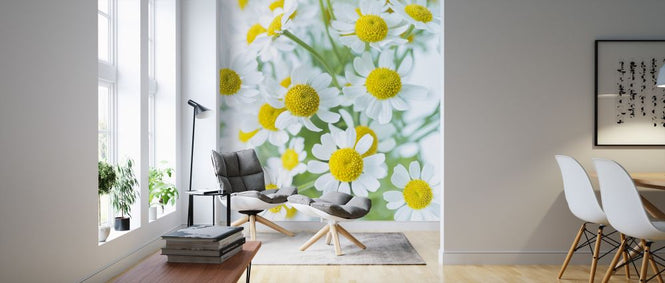 PHOTOWALL / Daisies (e321101)