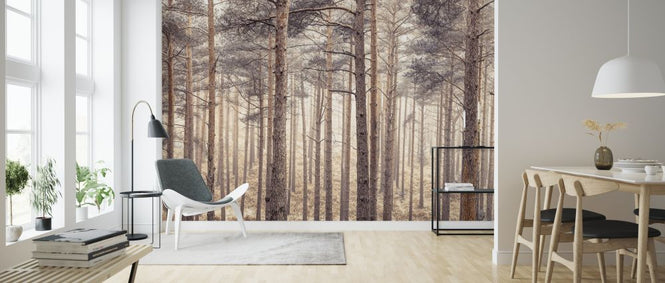 PHOTOWALL / Forest (e321110)
