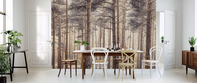 PHOTOWALL / Forest (e321110)