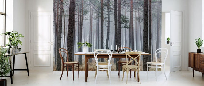 PHOTOWALL / Into the Pine Forest (e321111)