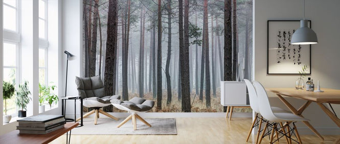 PHOTOWALL / Into the Pine Forest (e321111)