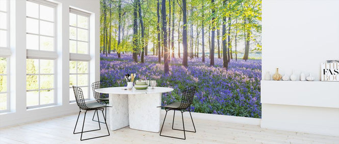 PHOTOWALL / Bluebells (e321114)