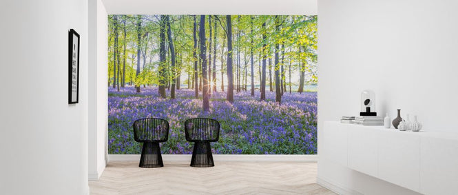 PHOTOWALL / Bluebells (e321114)
