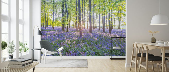 PHOTOWALL / Bluebells (e321114)