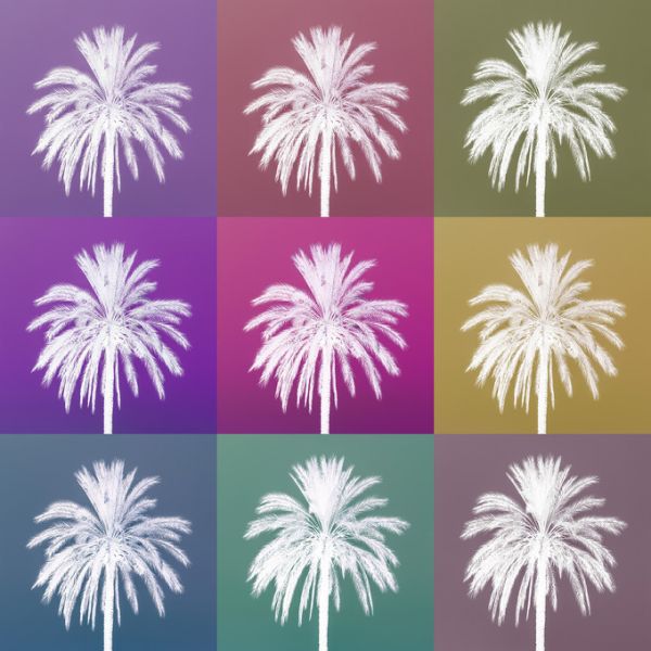 PHOTOWALL / Palm Trees Set (e321139)