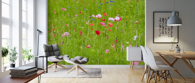 PHOTOWALL / Meadow Flowers (e321143)