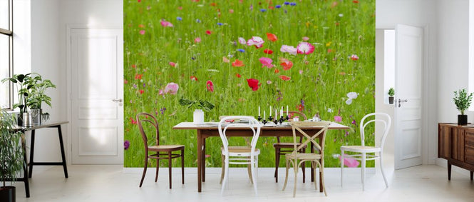 PHOTOWALL / Meadow Flowers (e321143)