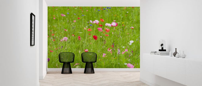 PHOTOWALL / Meadow Flowers (e321143)
