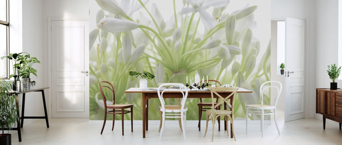 PHOTOWALL / African Lily (e321144)