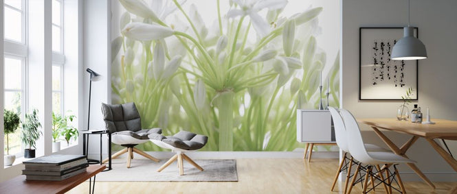 PHOTOWALL / African Lily (e321144)