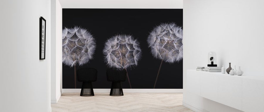 PHOTOWALL / Dandelion Clock (e321145)