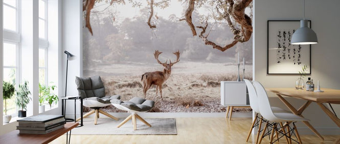 PHOTOWALL / Noble Stag (e321147)