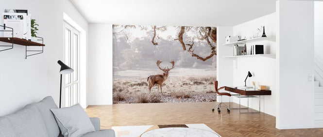 PHOTOWALL / Noble Stag (e321147)