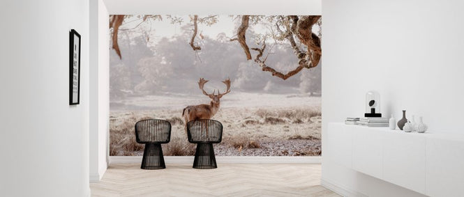 PHOTOWALL / Noble Stag (e321147)