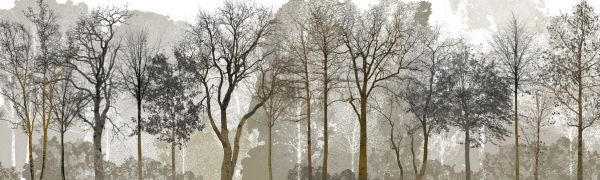 PHOTOWALL / Autum in the Woods (e323381)
