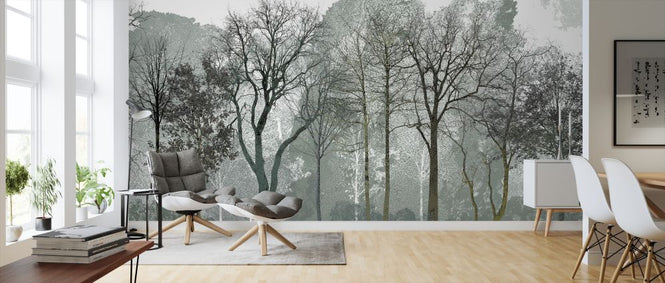 PHOTOWALL / Early Spring in the Woods (e323383)