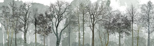 PHOTOWALL / Early Spring in the Woods (e323383)