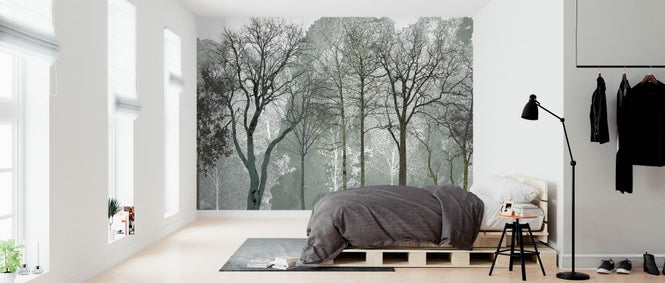 PHOTOWALL / Early Spring in the Woods (e323383)