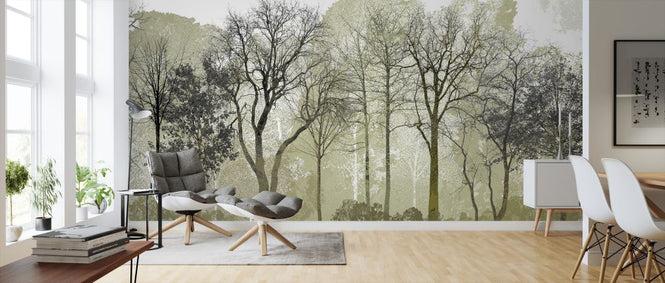 PHOTOWALL / Spring in the Woods (e323384)