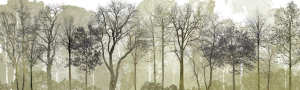 PHOTOWALL / Spring in the Woods (e323384)