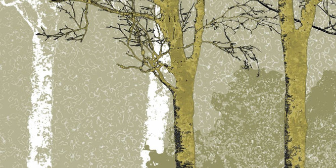 PHOTOWALL / Spring in the Woods (e323384)