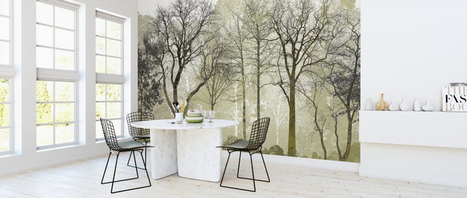 PHOTOWALL / Spring in the Woods (e323384)
