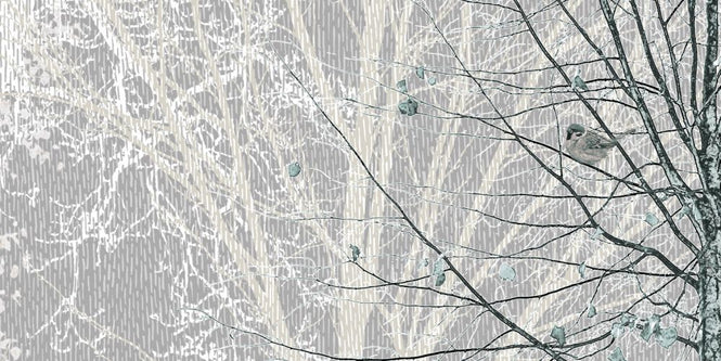 PHOTOWALL / Hidden Bird - Brown Grey (e323388)
