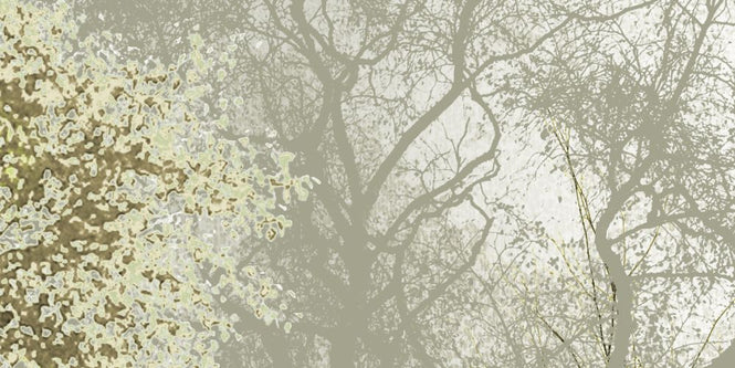 PHOTOWALL / Hidden Bird - Green Beige (e323389)