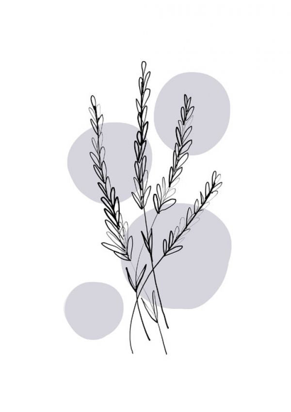 PHOTOWALL / Delicate Botanicals - Lavender (e322878)