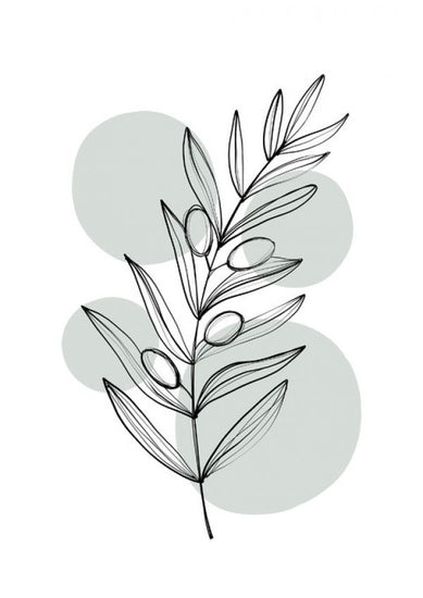 PHOTOWALL / Delicate Botanicals - Olive (e322880)