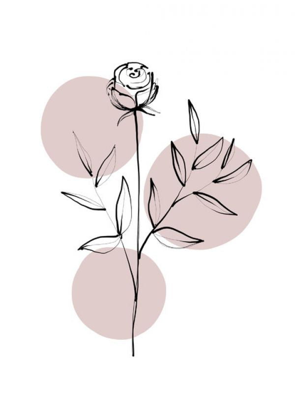 PHOTOWALL / Delicate Botanicals - Rose (e322881)