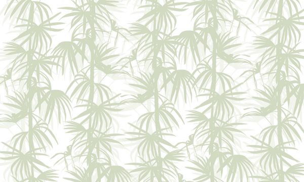 PHOTOWALL / Stylistic Palms - Green (e323193)