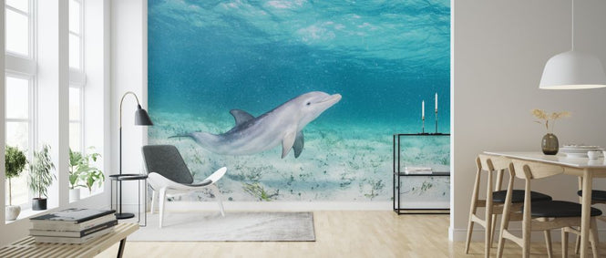 PHOTOWALL / Bottlenose Dolphin Playing (e319036)