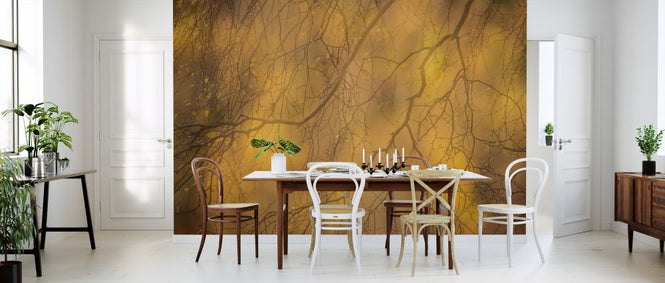 PHOTOWALL / Silver Birch Branches (e320137)