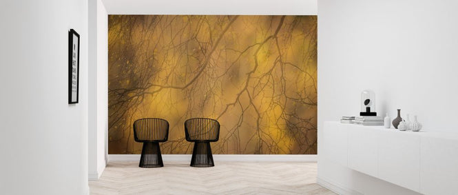 PHOTOWALL / Silver Birch Branches (e320137)