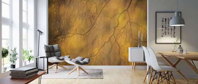 PHOTOWALL / Silver Birch Branches (e320137)