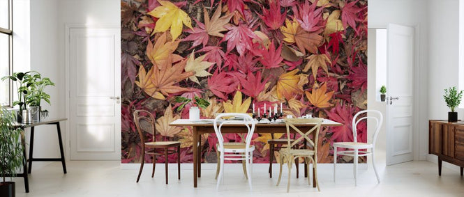 PHOTOWALL / Fallen Maple Leaves (e320139)