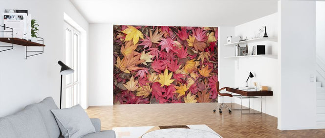 PHOTOWALL / Fallen Maple Leaves (e320139)