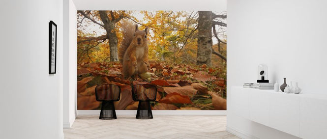 PHOTOWALL / Red Squirrel in Leaf Litter (e320140)